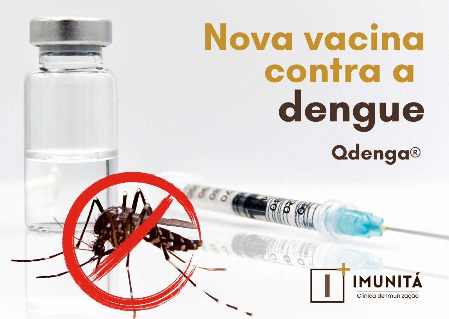 Nova vacina contra DENGUE – QDENGA